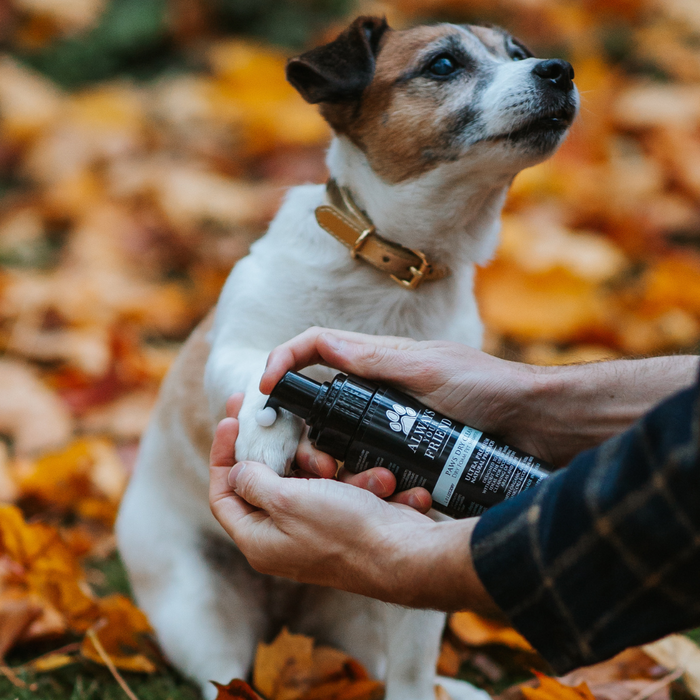 Paws Dry Shampoo for Pets - Natural Solution for On-The-Go Cleansing (150ml)