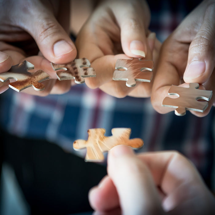 Wooden jigsaw puzzle pieces held in hands, lion artwork pieces mid-assembly
