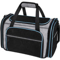 Pet backpack carrier