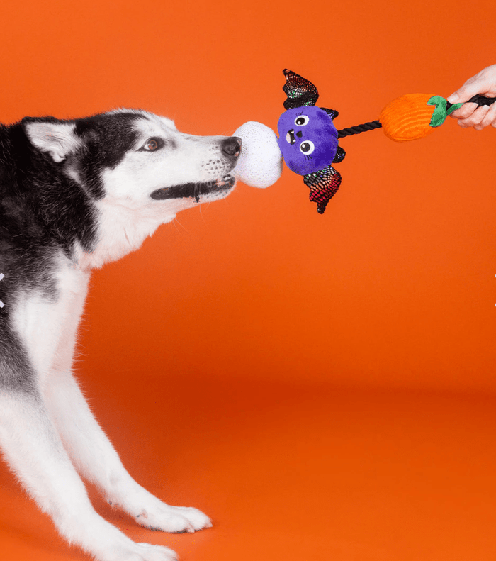 15% OFF! PetShop by Fringe Studio Literally Dead Cute Plush & Rope Squeaky Dog Toy - Glad Dogs Nation | ALL Profits Donated