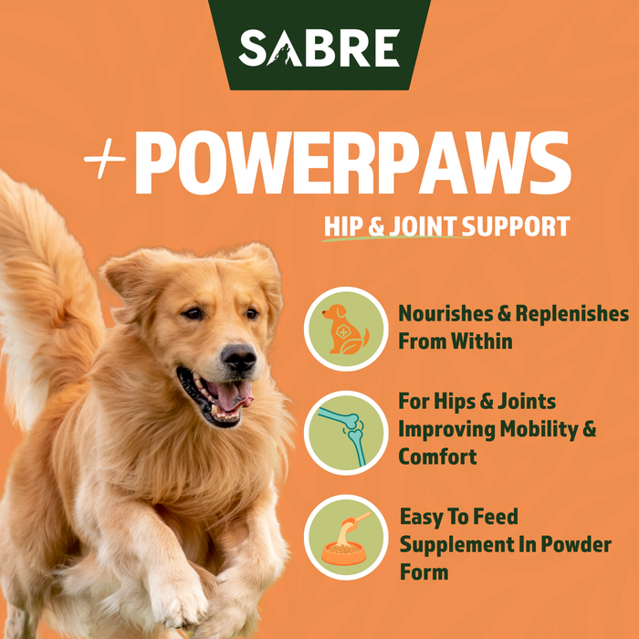 PowerPaws Premium Dog Hip and Joint Supplement