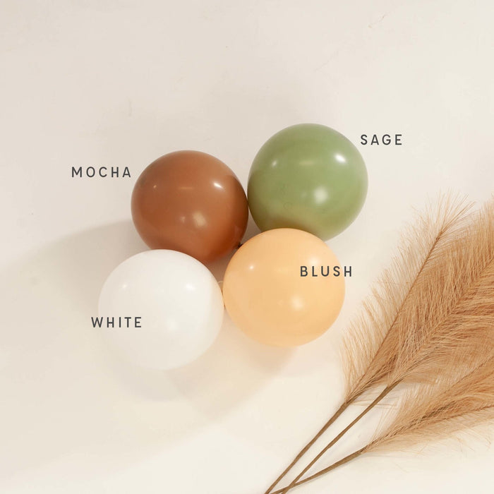 Color-matched balloon set with white, blush, sage and mocha balloons plus pampas grass