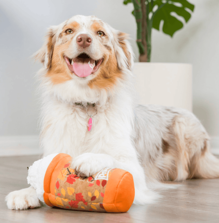 Puggin Spice Latte Power Plush Squeaky Dog Toy: 2 Sizes - Glad Dogs Nation | ALL Profits Donated