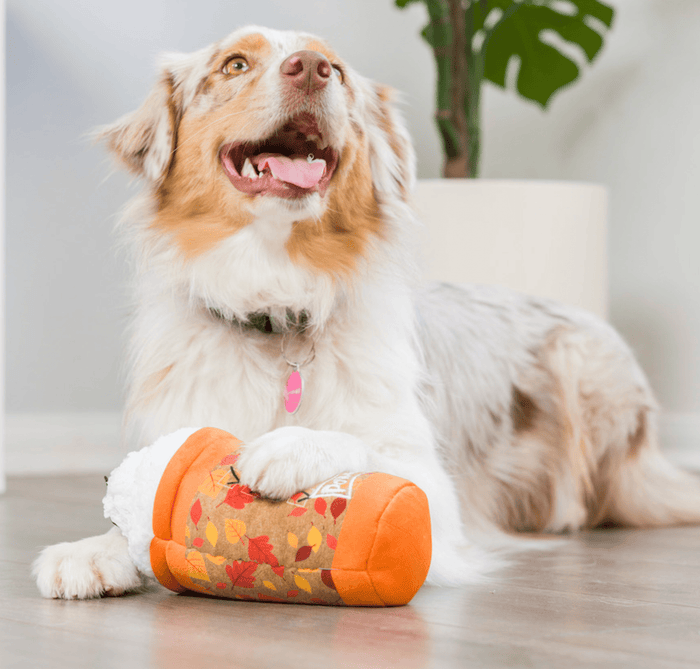 Puggin Spice Latte Power Plush Squeaky Dog Toy: 2 Sizes - Glad Dogs Nation | ALL Profits Donated