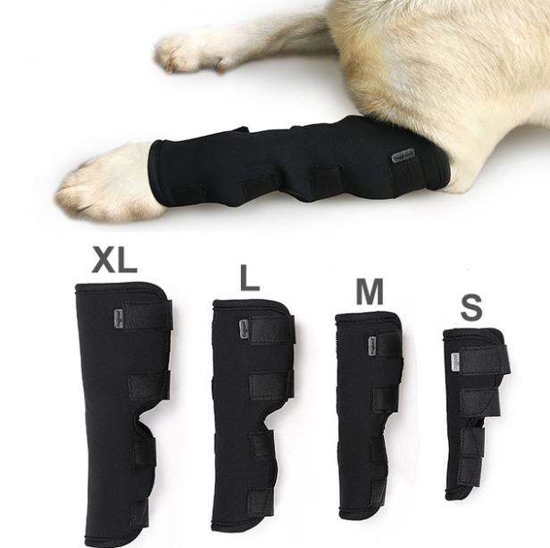 Recovery Leggings for Dogs