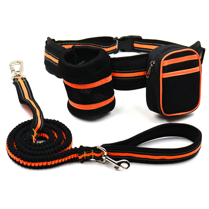 Reflective High-Visibility Dog Lead