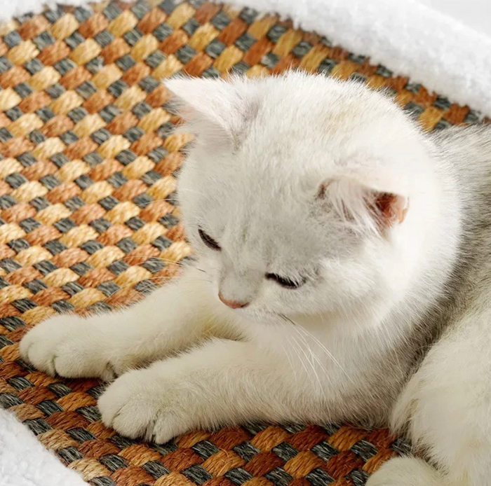 RoyalRest Deluxe Cat Bed