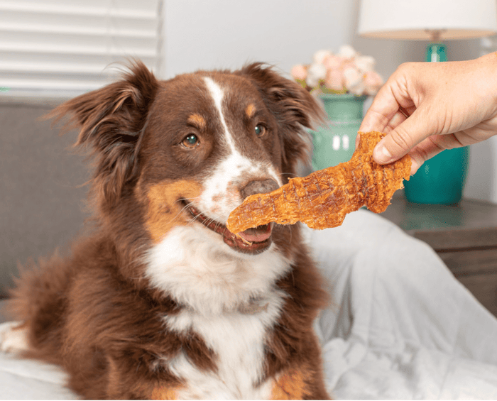 SAVE $3! Natural Cravings USA Chicken Breast Strips Breakable Treat 10 oz. Bag - Glad Dogs Nation | ALL Profits Donated
