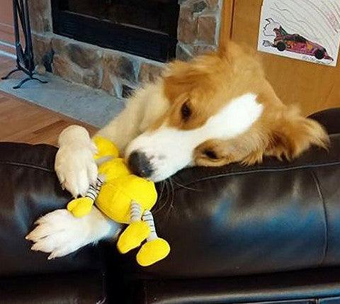 Small Stuffed SQUEAKY Dog & Puppy Toys / 10 - 30 lbs. - Glad Dogs Nation | ALL Profits Donated