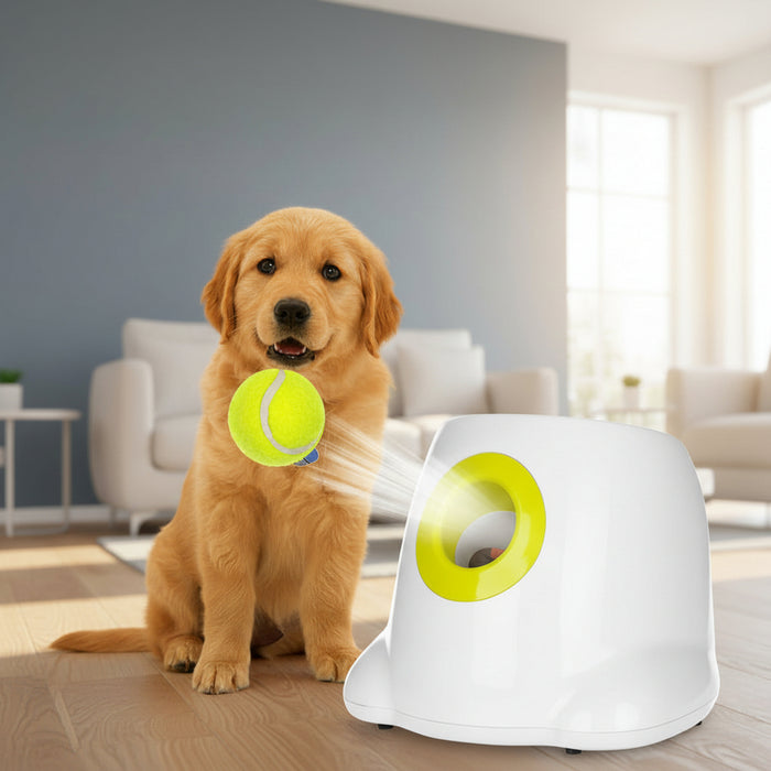 Smart Dog Ball Launcher Fetch Toy