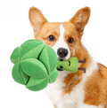SnackPuzzle BroccoFun Treat Toy