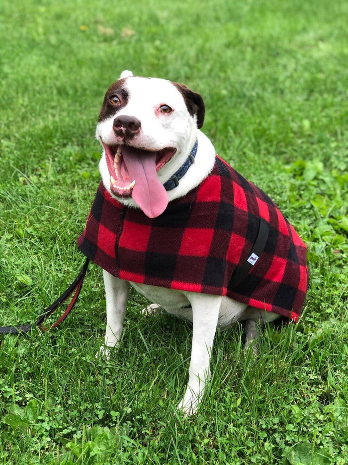 SnugPups Double Lined Poly Fleece Coats with Ruffles - Glad Dogs Nation | ALL Profits Donated