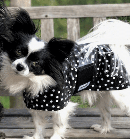 SnugPups Raincoats - Glad Dogs Nation | ALL Profits Donated