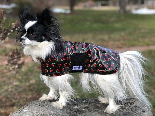 SnugPups Raincoats - Glad Dogs Nation | ALL Profits Donated