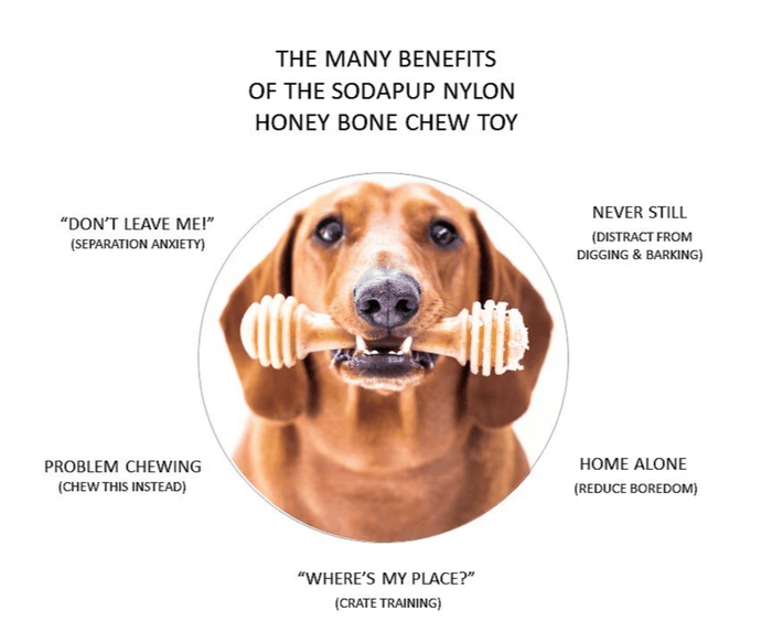 SodaPup Nylon Honey Bone Ultra Durable Dog Chew Small & Large - Glad Dogs Nation | ALL Profits Donated