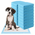 Super-Absorbent Puppy Training Pads — 150 Pack