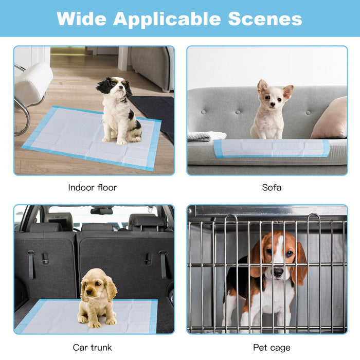 Super-Absorbent Puppy Training Pads — 150 Pack