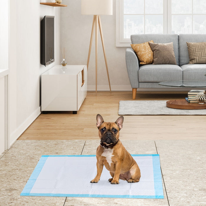 Super-Absorbent Puppy Training Pads — 150 Pack