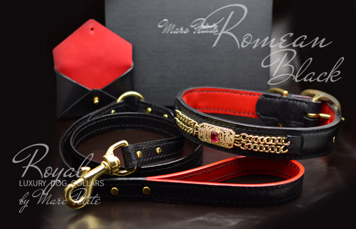 Leather dog harness with hand-embroidered name