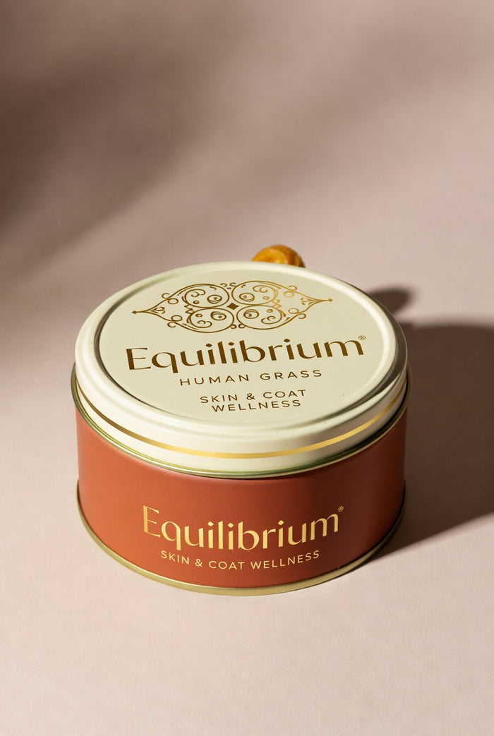 The Equilibrium Wellness Chews