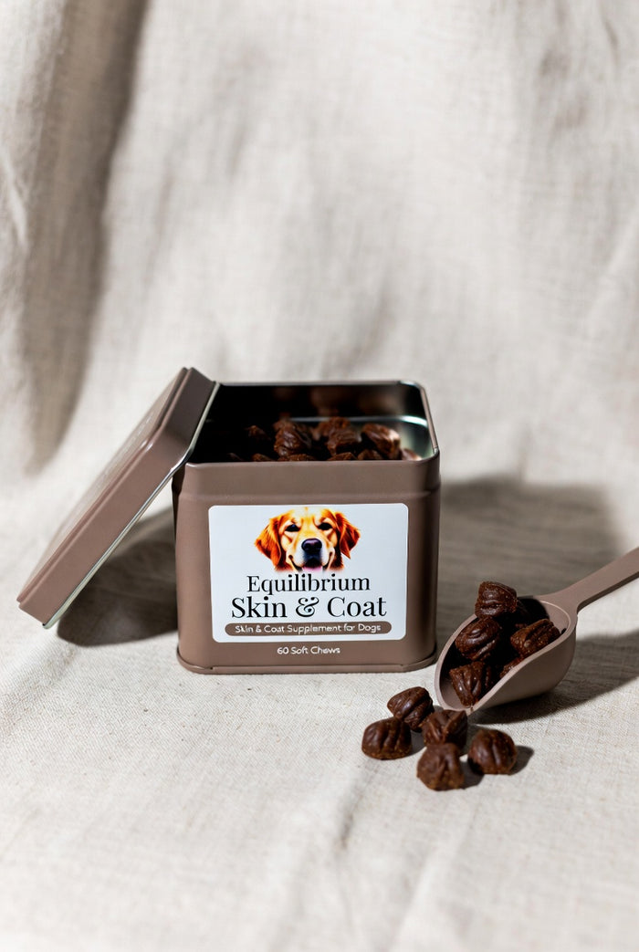 The Equilibrium Wellness Chews