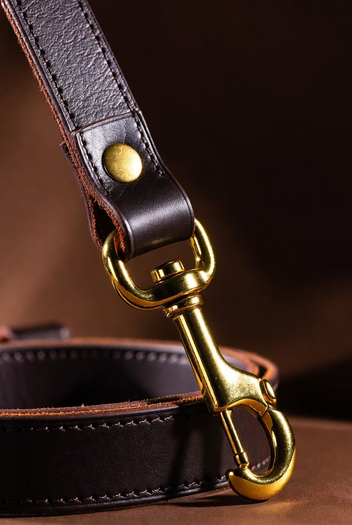 Firenze Italian leather leash shown coiled