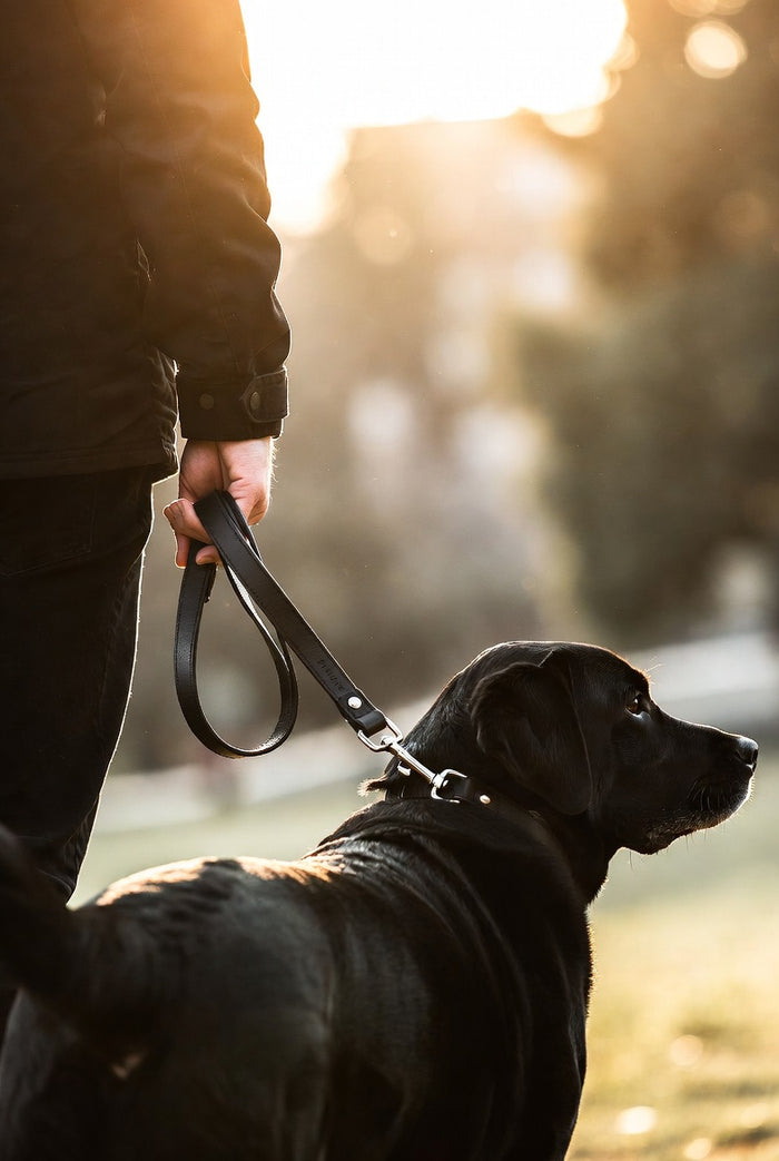 The Firenze Italian Leather Leash
