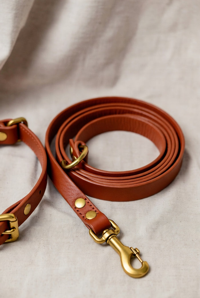 The Firenze Italian Leather Leash