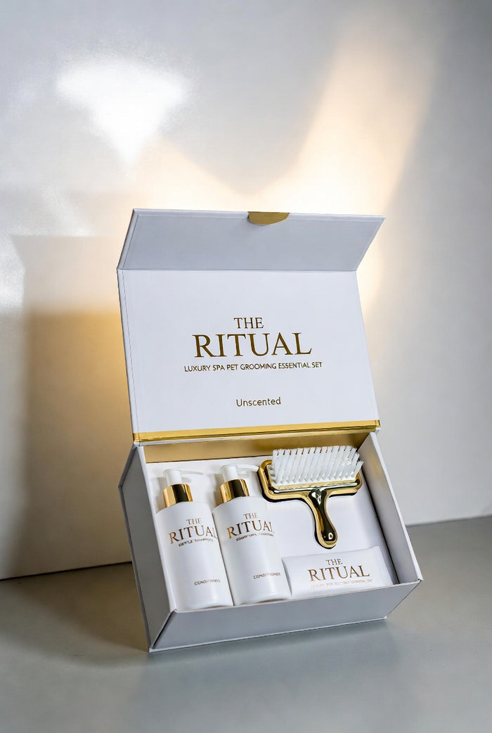Close-up of the Ritual grooming brush