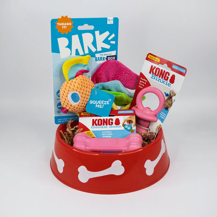 Tickled Pink SQUEAKY & Chewy Dog & Puppy Gift Basket / BARK, Kong - Glad Dogs Nation | ALL Profits Donated