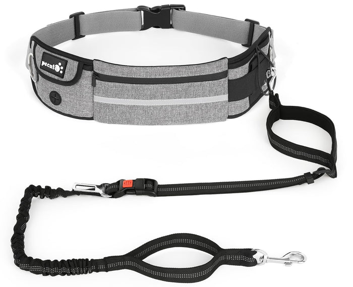 TrailBlazer Hands-Free Dog Leash Kit