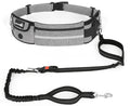 TrailBlazer Hands-Free Dog Leash Kit