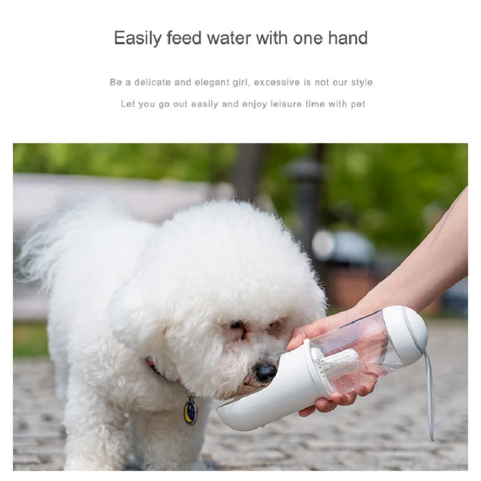 Travel Water Bottle & Dispenser