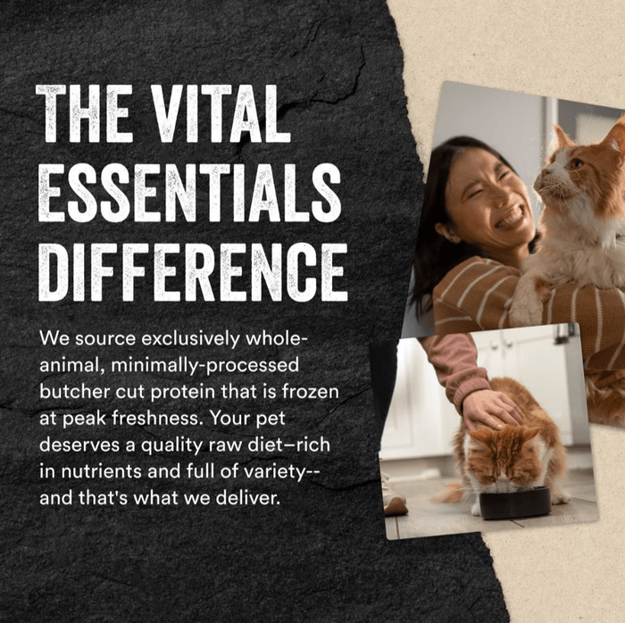 Vital Essentials Freeze - Dried Raw Chicken Hearts Cat Treats - Glad Dogs Nation | ALL Profits Donated