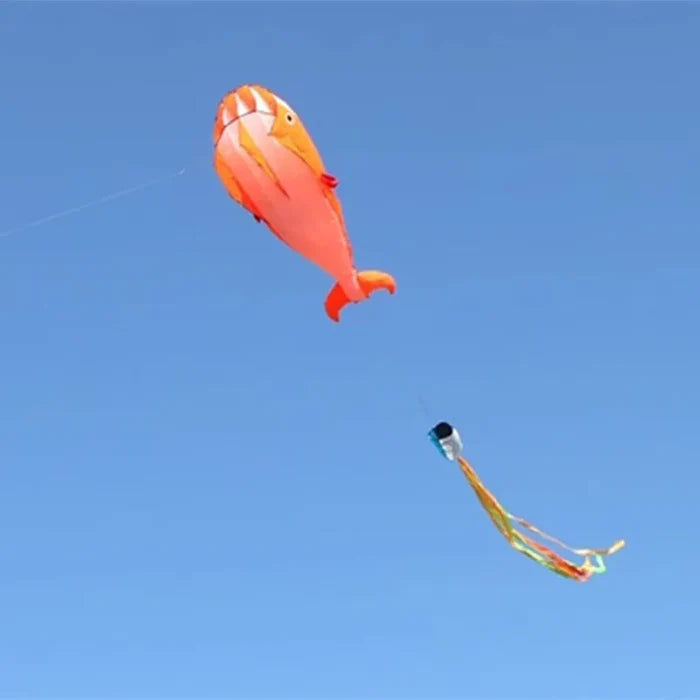 Orange Dolphin