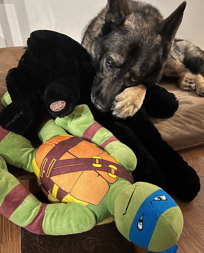 XXLarge Pop Culture Famous Characters Squeaky & NO Squeak Dog Toys: 20"+ - Glad Dogs Nation | ALL Profits Donated