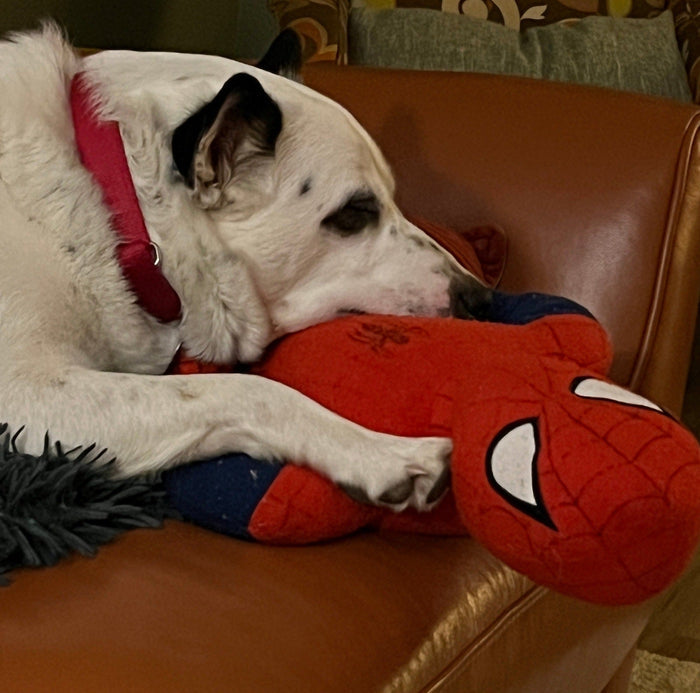 XXLarge Pop Culture Famous Characters Squeaky & NO Squeak Dog Toys: 20"+ - Glad Dogs Nation | ALL Profits Donated