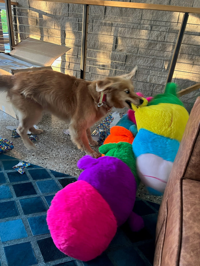 XXLarge Stuffed Dog Toys: 20"+ Squeaky and No Squeak - Glad Dogs Nation | ALL Profits Donated