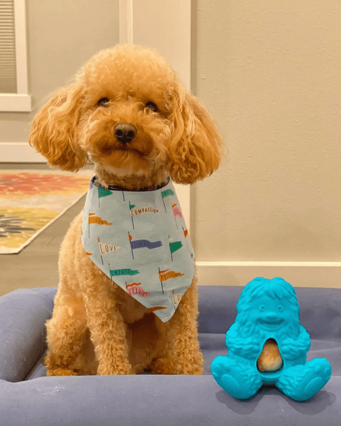 Yeti Dog Yak Cheese Chew Puff & Play Dog Chew Treat Dispenser: Hangry Yeti Blue or Pink - Glad Dogs Nation | ALL Profits Donated