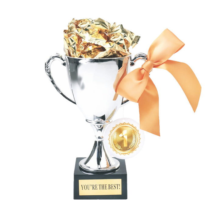 Silver trophy with orange bow, gold foil filler, circular '1' medal and 'You're the best' plaque