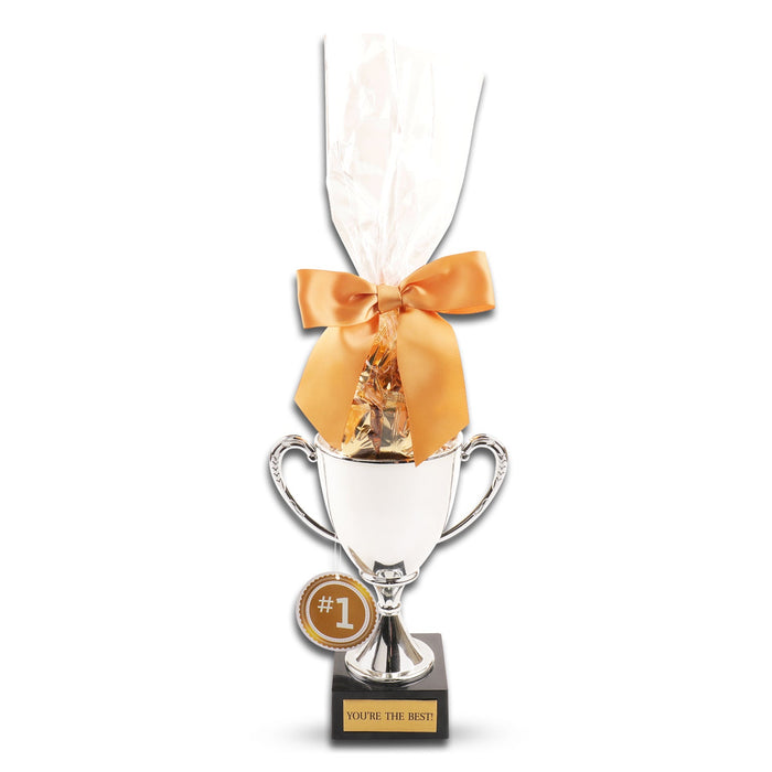 Small silver trophy gift with orange ribbon, gold '#1' medal, 'You're the best' base