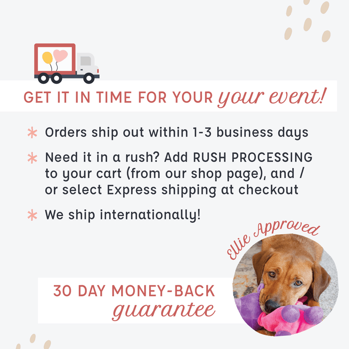 Zebra Balloon shipping and money-back guarantee information card with text and dog photo